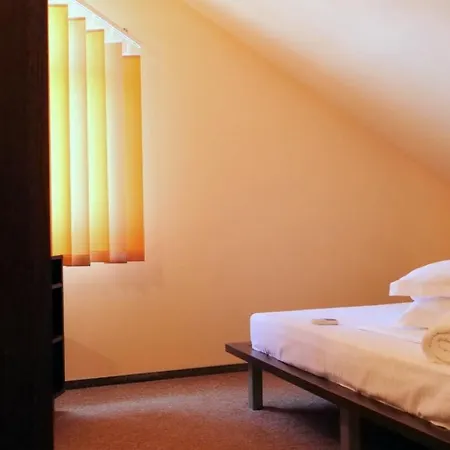 Pensionat Pensiunea Ryana Maria