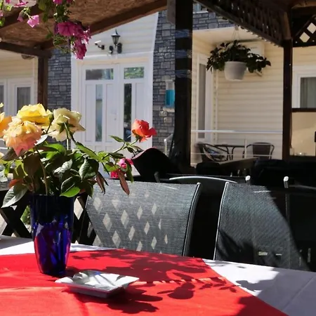 Pensiunea Ryana Maria