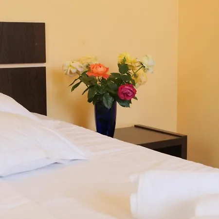 Pensiunea Ryana Maria Pensionat 3*