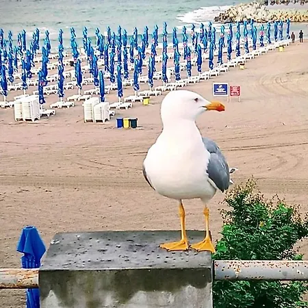 Pensionat Pensiunea Ryana Maria 3*