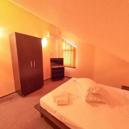 Pensiunea Ryana Maria Guest house *