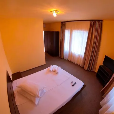 Guest house Pensiunea Ryana Maria *