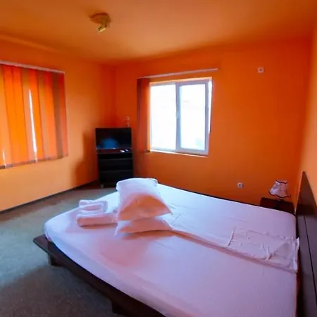 Pensiunea Ryana Maria Guest house