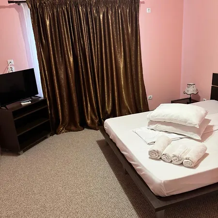 Guest house Pensiunea Ryana Maria *