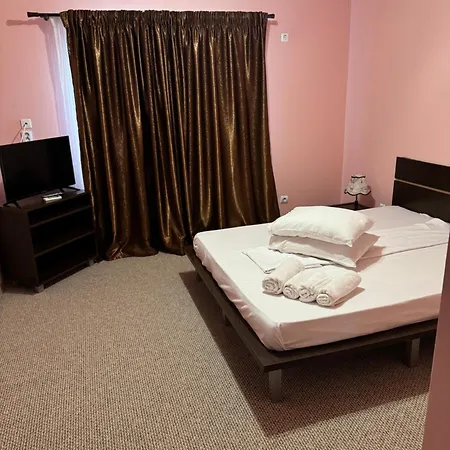 Gasthof Pensiunea Ryana Maria